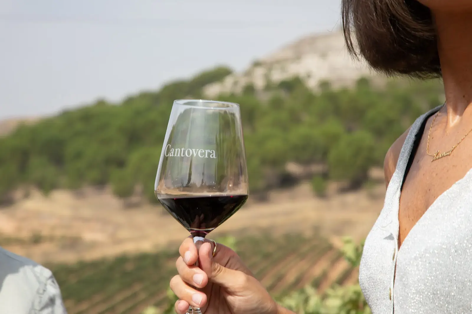 Copa de vino tinto con el viñedo y el páramo al fondo
